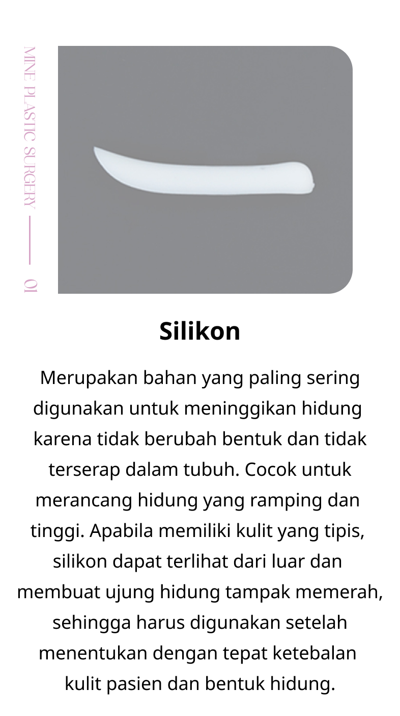 silikon hidung