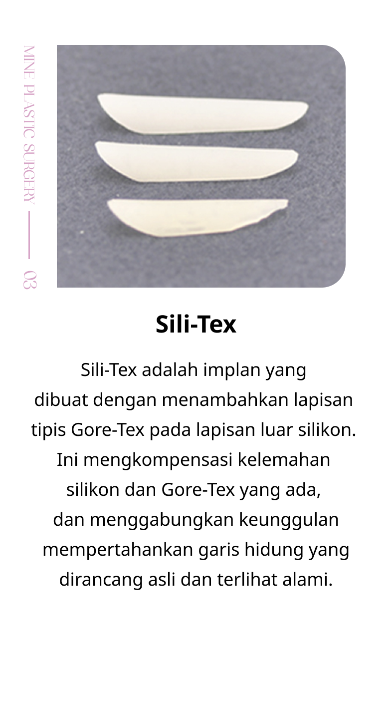 silikon hidung silitex